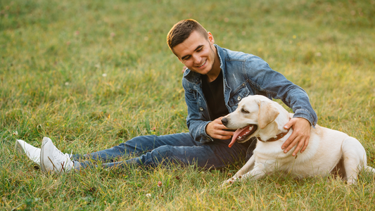 Pet Essentials: Everything Your Furry Friend Needs to Stay Happy & Healthy